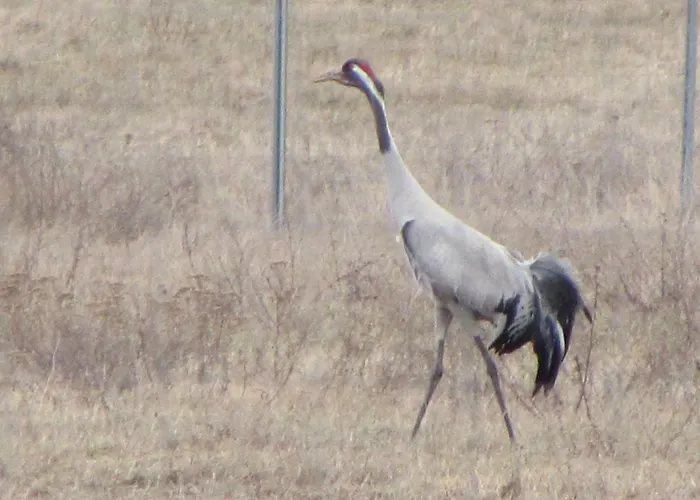 Radlerzimmer * Strasen