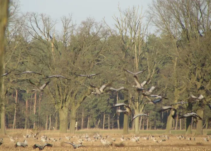 Radlerzimmer Strasen