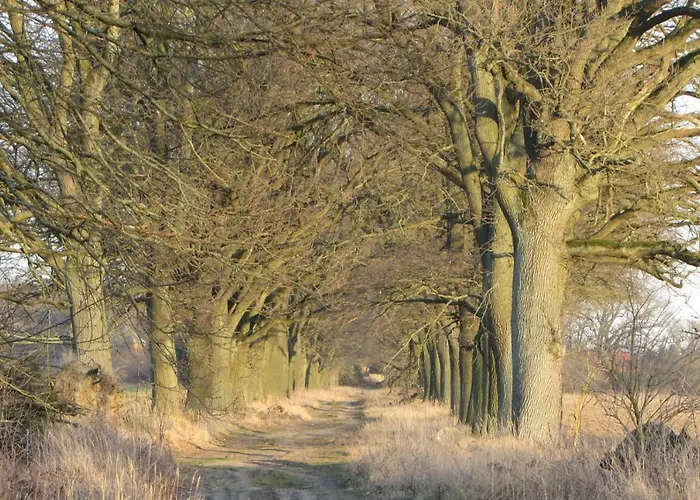 홈스테이 Radlerzimmer Strasen